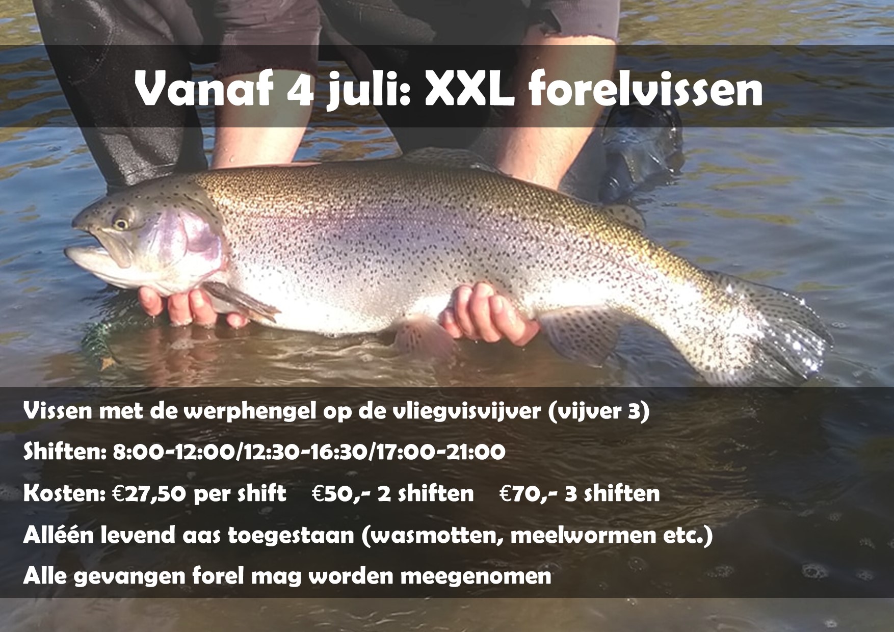 XXL forelvissen vijver – De