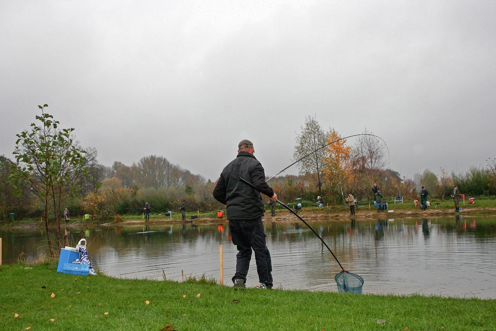 Forelvijver – De Kool